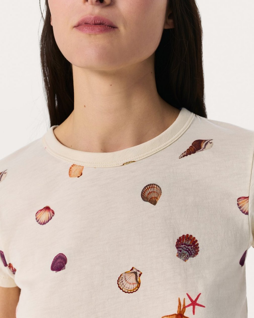 Seashell Graphic T Shirt Ivory Multi - Image 4